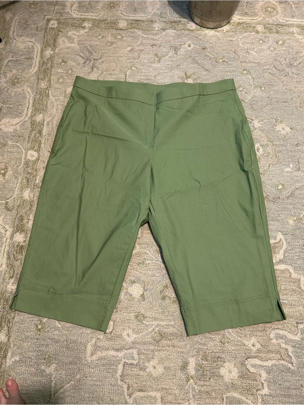 alfred dunnar womens capris size 24w